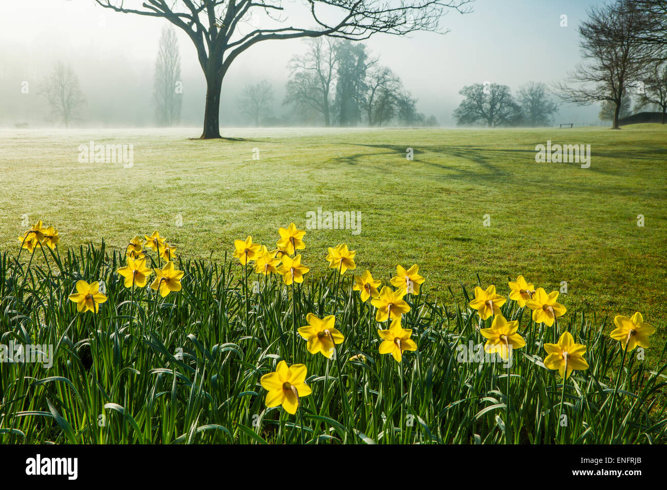 The grounds of Bowood House in Wiltshire in the spring. Stock Photo