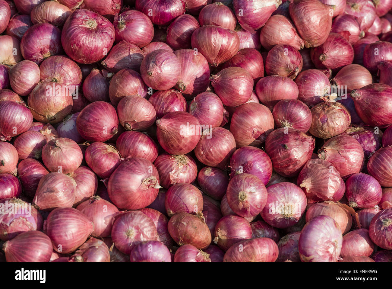 Onions, Kerala, India Stock Photo Alamy