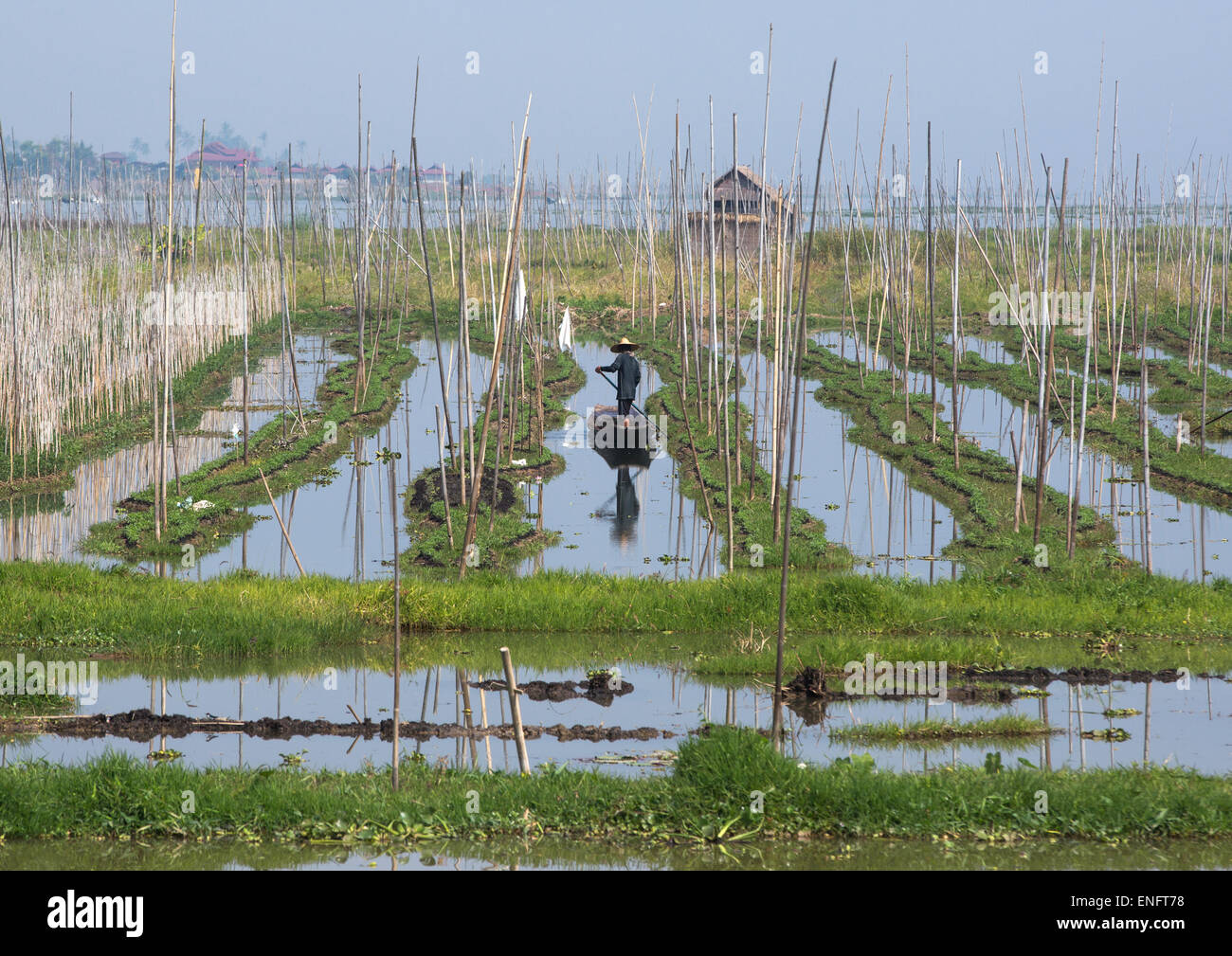 Floating Gardens, Inle Lake, Myanmar Stock Photo Alamy