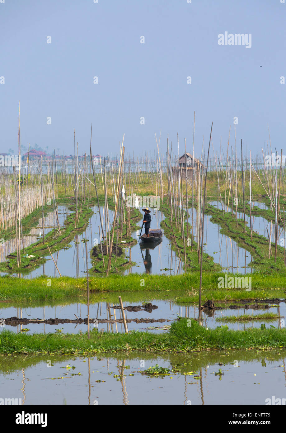 Floating Gardens, Inle Lake, Myanmar Stock Photo Alamy