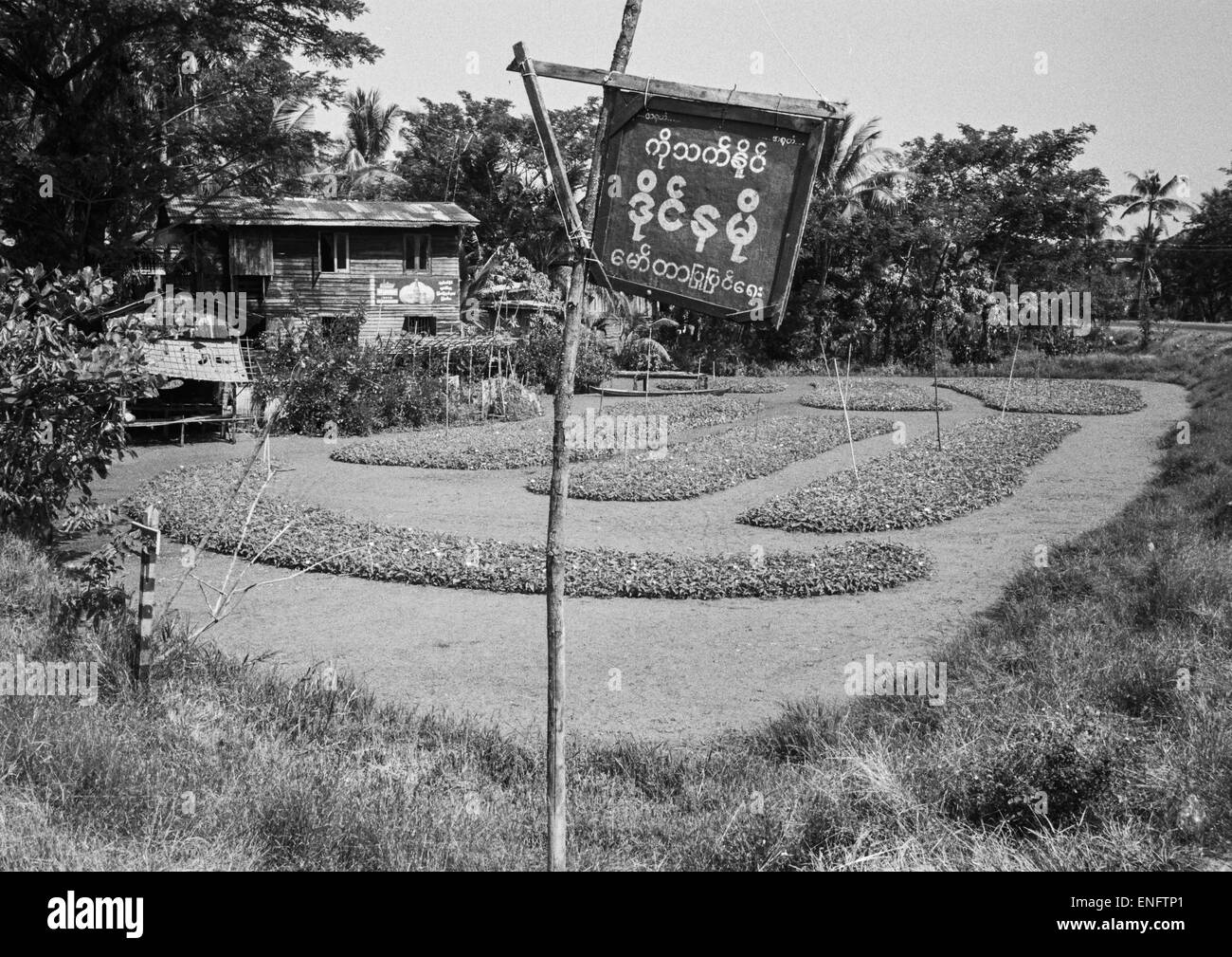 House In The Country, Ngapali, Myanmar Stock Photo