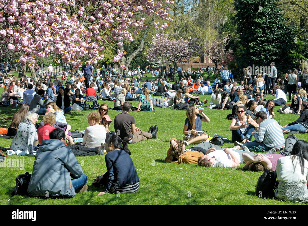 London, England, UK. People sitting outside at lunchtime in Lincolns Inn Fields Stock Photo
