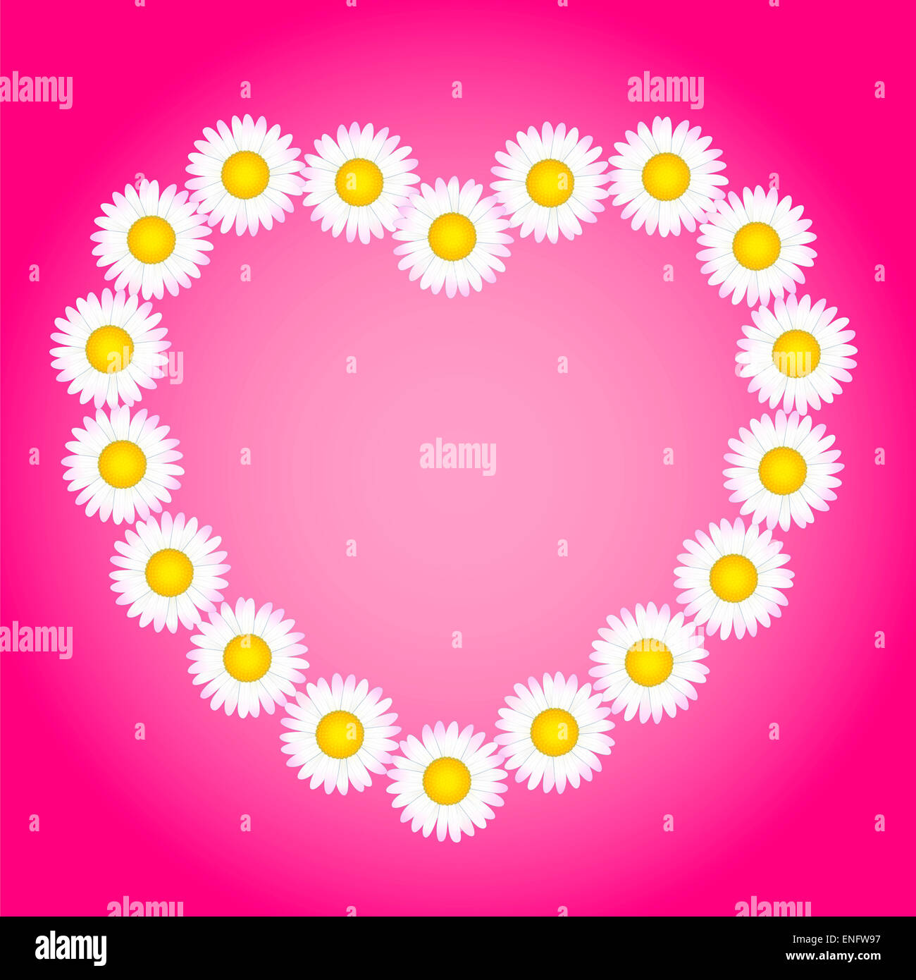 Flower heart out of daisies to write a loving text in it. Stock Photo