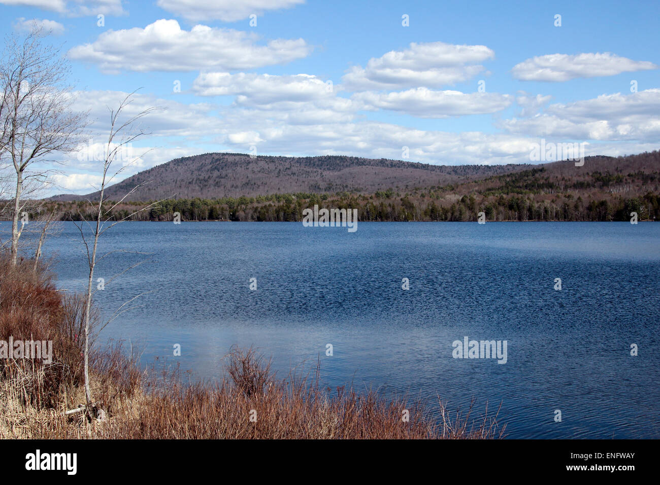 Lake Pleasant Adirondack State Park Adirondack Mountains Adirondacks