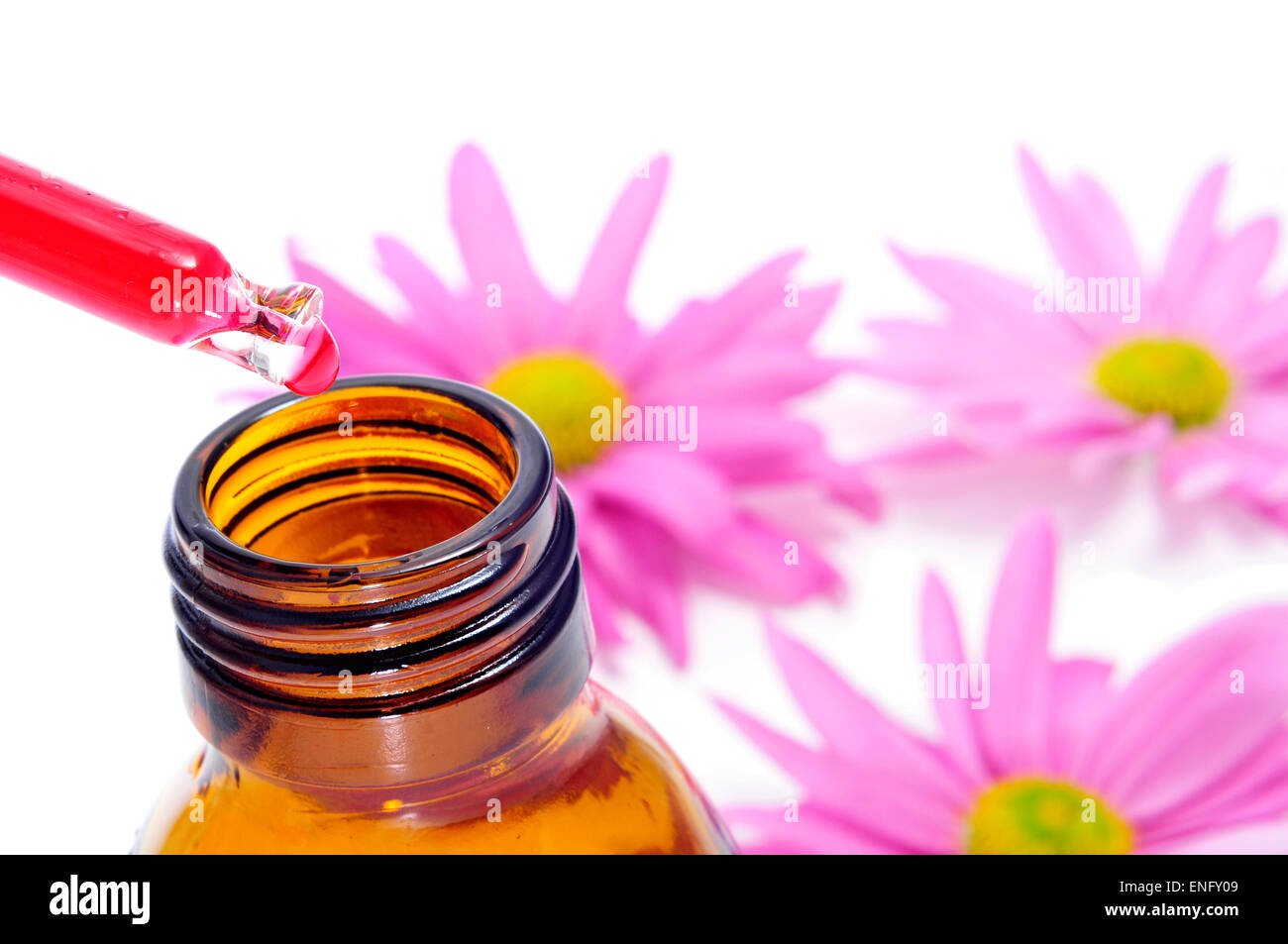 a dropper and a bottle, and some pink chrysanthemums on a white background Stock Photo