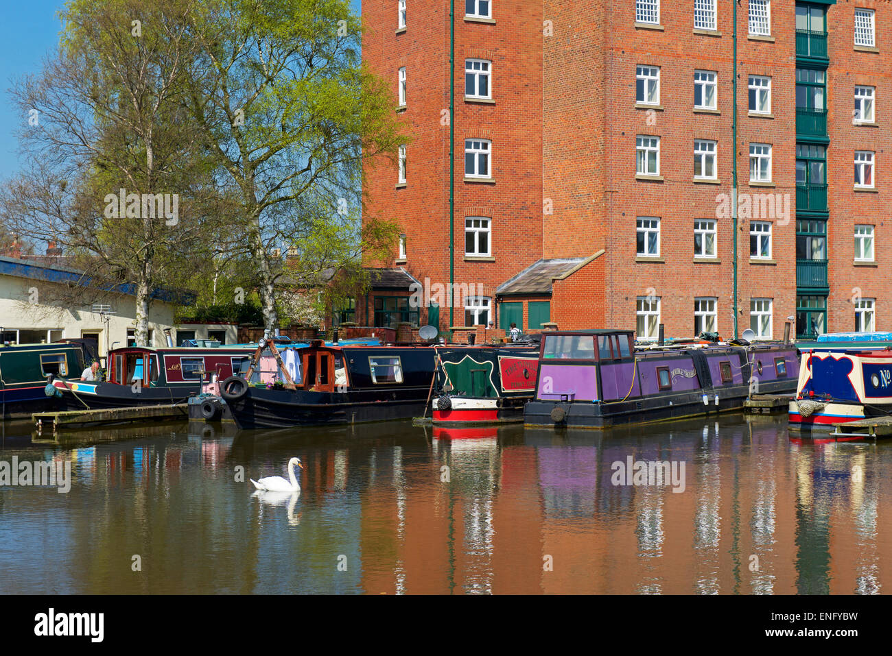 The Macclesfield Canal, in Macclesfield, Cheshire, England UK Stock Photo