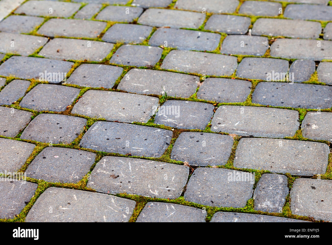 Grey paving stones as background Stock Photo - Alamy