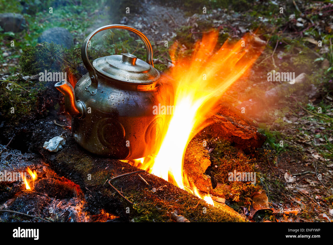 boiling kettle with steam on firewood and ash in winter forest Stock Photo  - Alamy