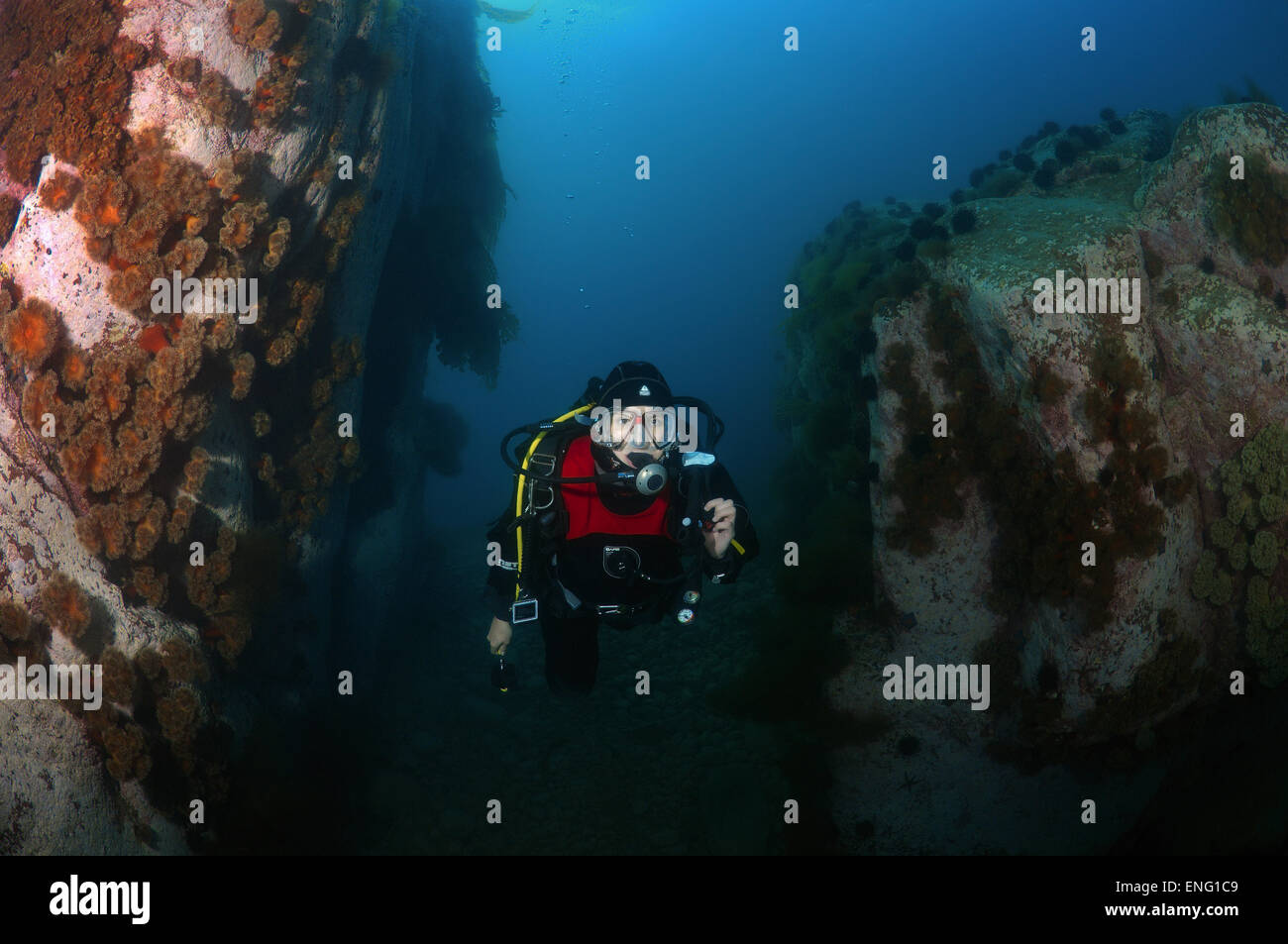 Deep sea diver equipment hi-res stock photography and images - Alamy