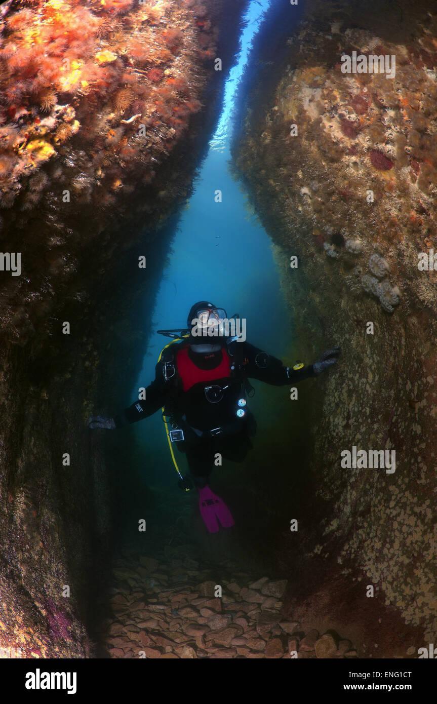 Female scuba diver inspects the underwater cave, Sea of Japan, Rudnaya Pristan, Far East, Primorsky Krai, Russia Stock Photo