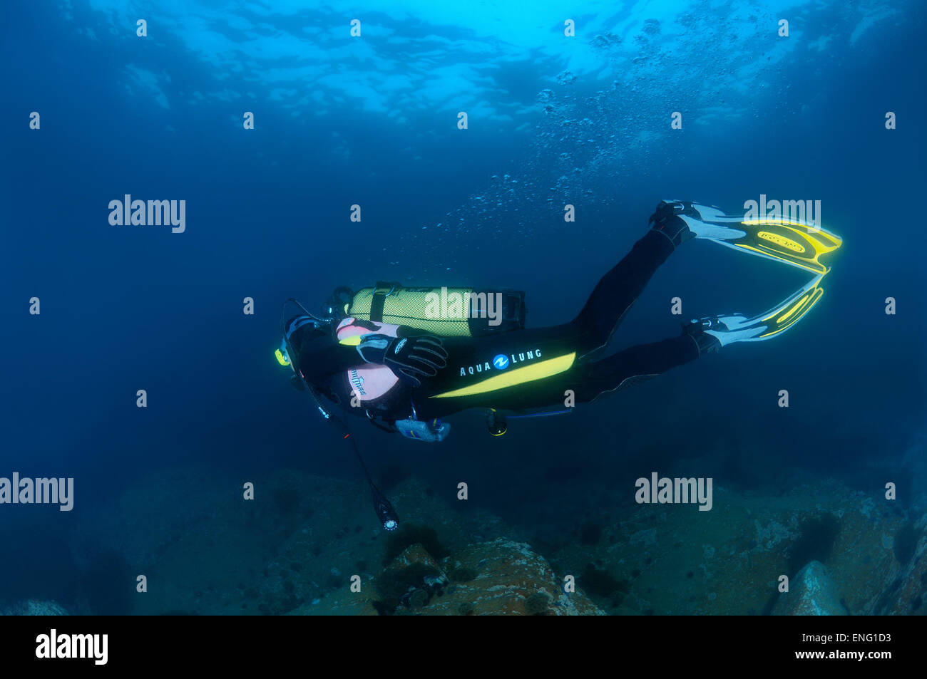 Diving in the north of Primorye. Rudnaya Bay Entry to the bucket. Continuing testing. Fishes Diving in the north of Primorye. Rudnaya Bay Entry to the bucket. Continuing testing. Fishes