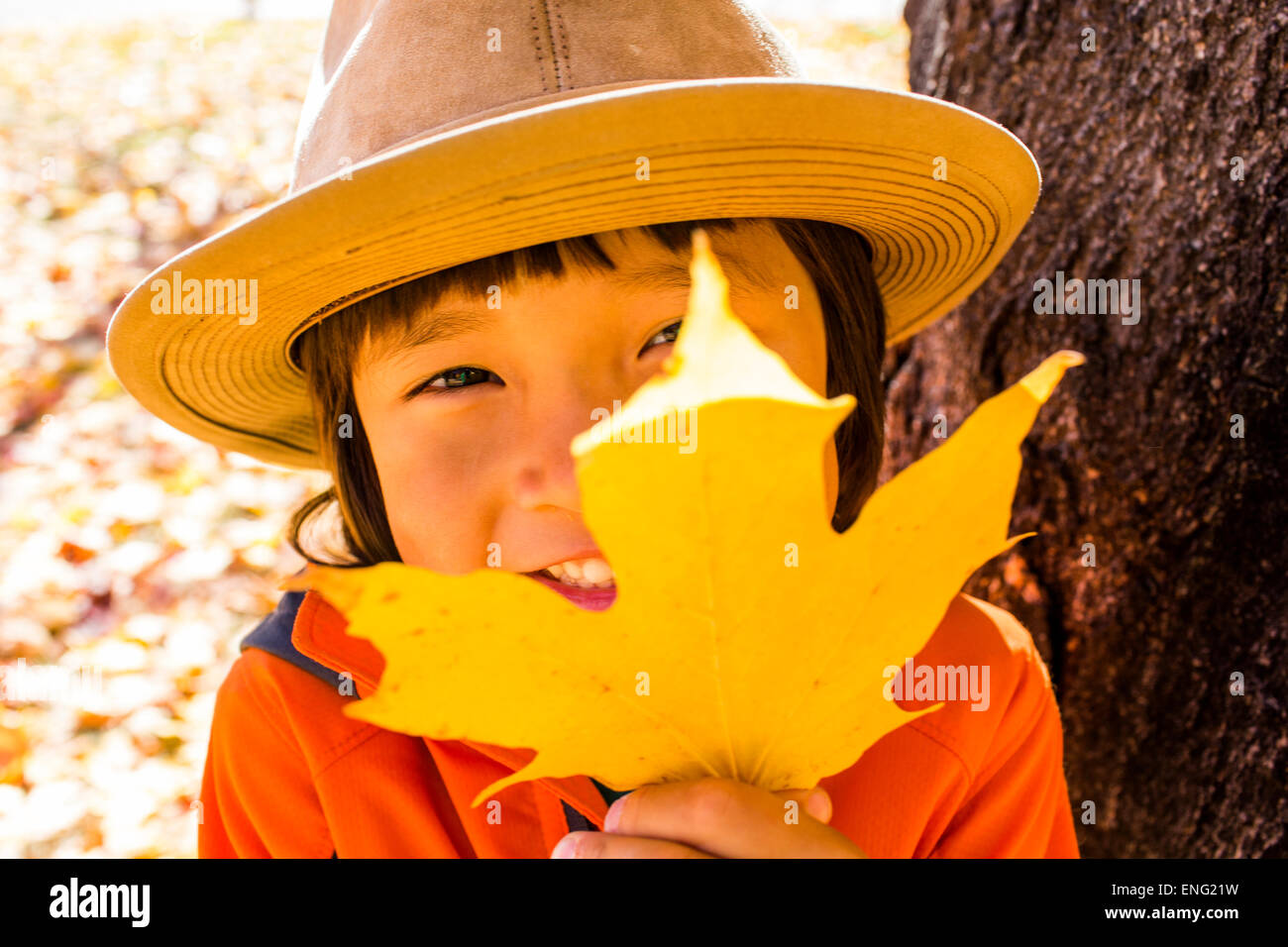 Close up of smiling mixed race boy holding autumn leaf Stock Photo