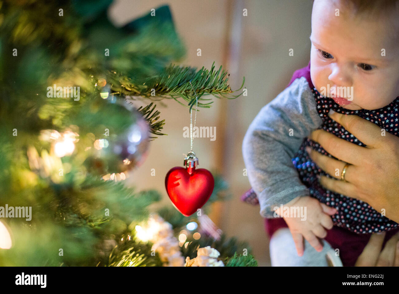 Caucasian parent holding baby girl near Christmas tree Stock Photo