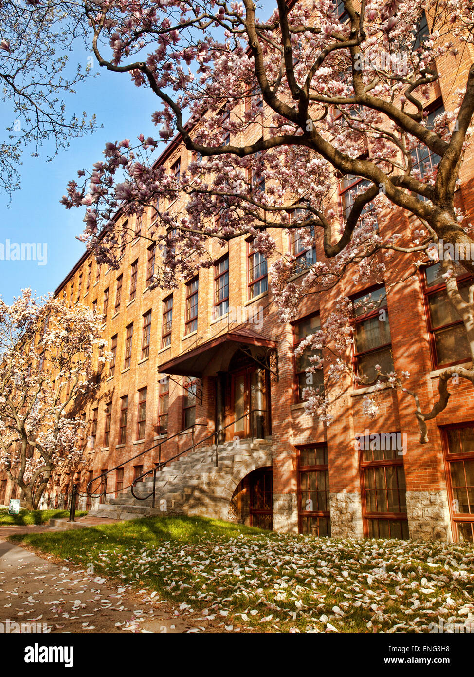 Franklin Square Apartments, Syracuse , New York Stock Photo Alamy