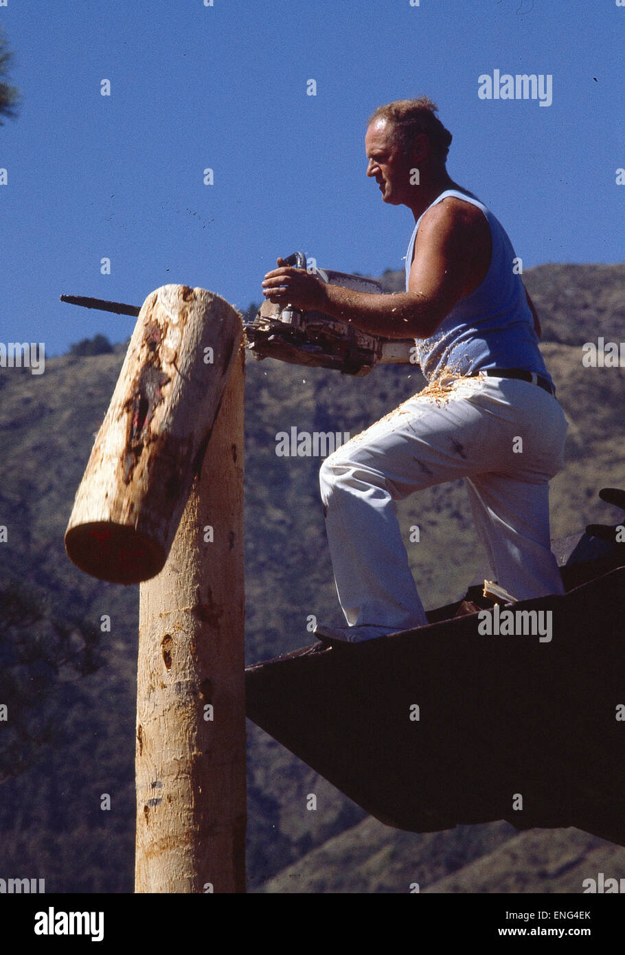 Neuseeland, Holzfäller Wettbewerb Stock Photo
