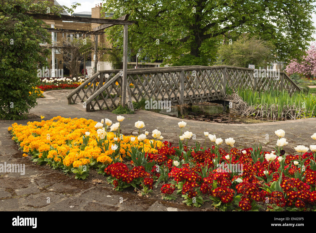 Spring bloom and bedding flowers add a sparkle of color at the Vine in Sevenoaks oldest cricket venue in England 1773 Stock Photo