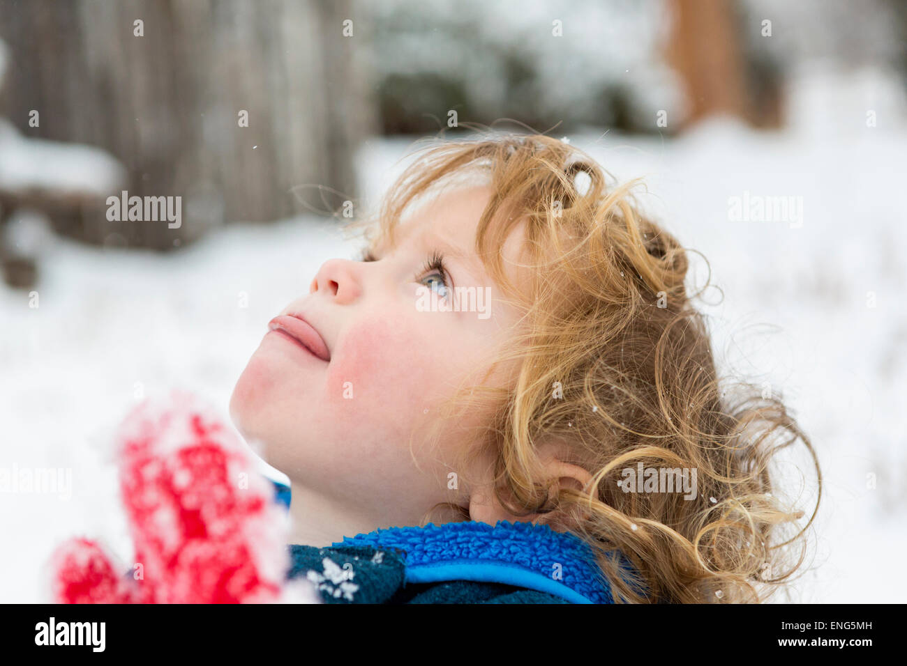 Caucasian boy catching snowflakes on tongue Stock Photo