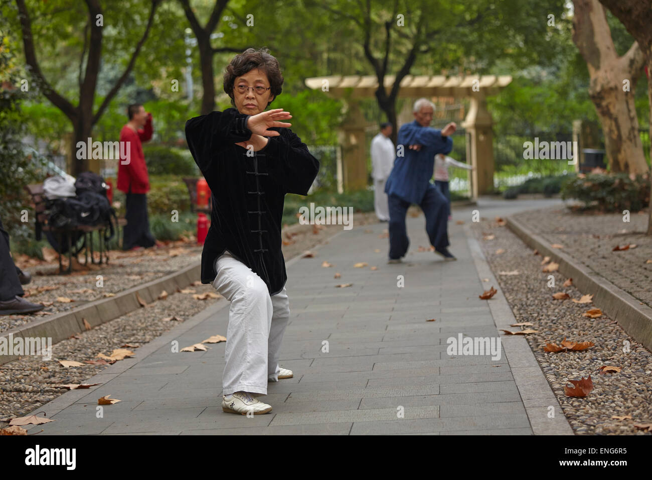 A group of people practising taiji quan (or taichi) in a city centre park; Renmin Park, Shanghai, China. Stock Photo