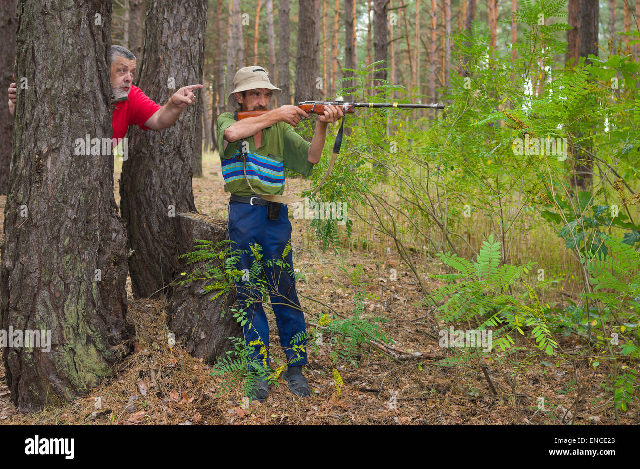 Country area in Poltavsk oblast, Ukraine - August 29, 2014: Two hunters shoot in coniferous forest Stock Photo