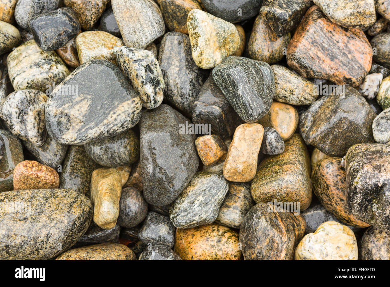 Brightly coloured pebbles on a beach in Harris, Scotland Stock Photo
