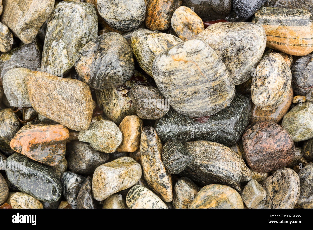 Brightly coloured pebbles on a beach in Harris, Scotland Stock Photo