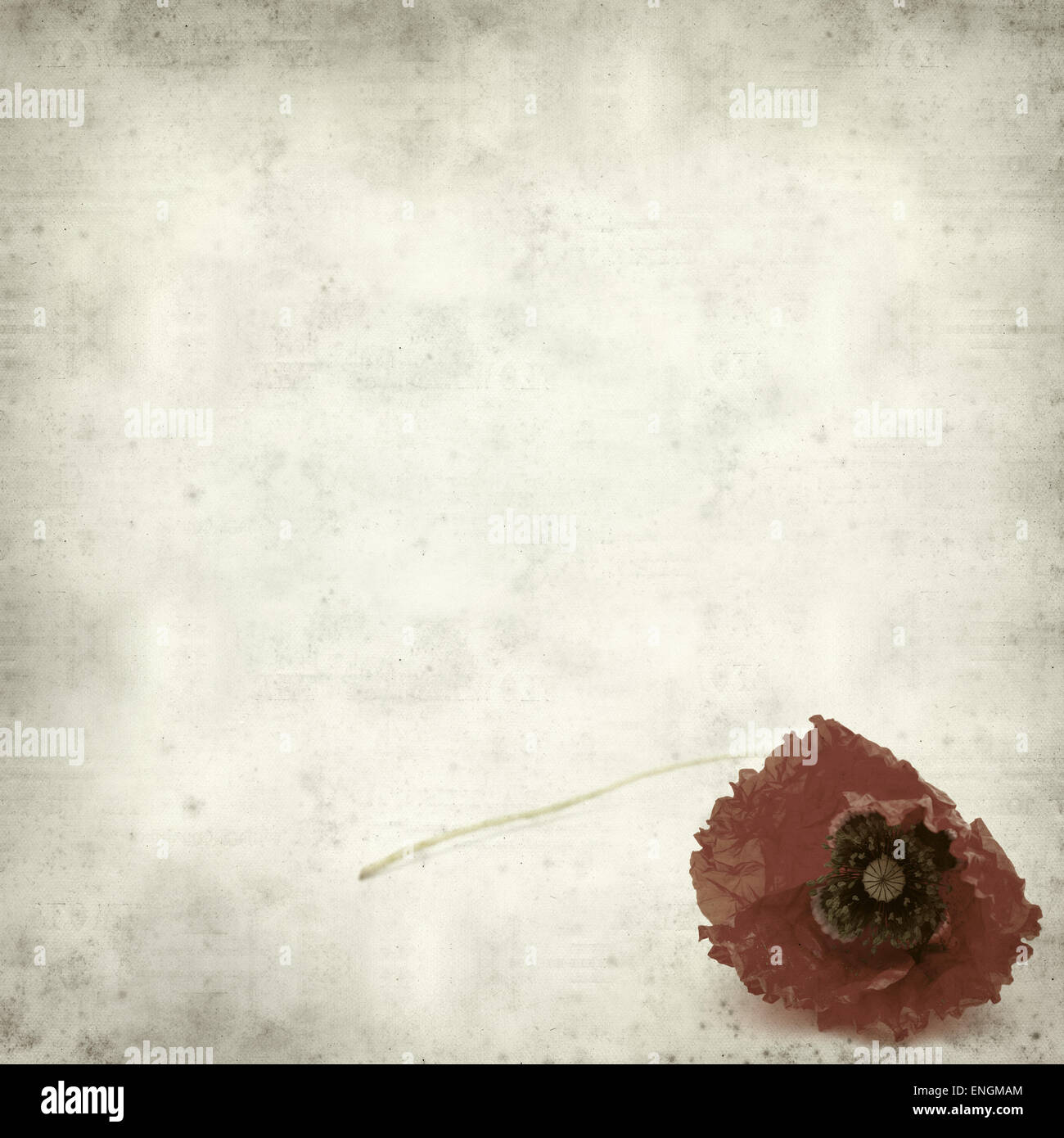 textured old paper background with red poppy Stock Photo - Alamy