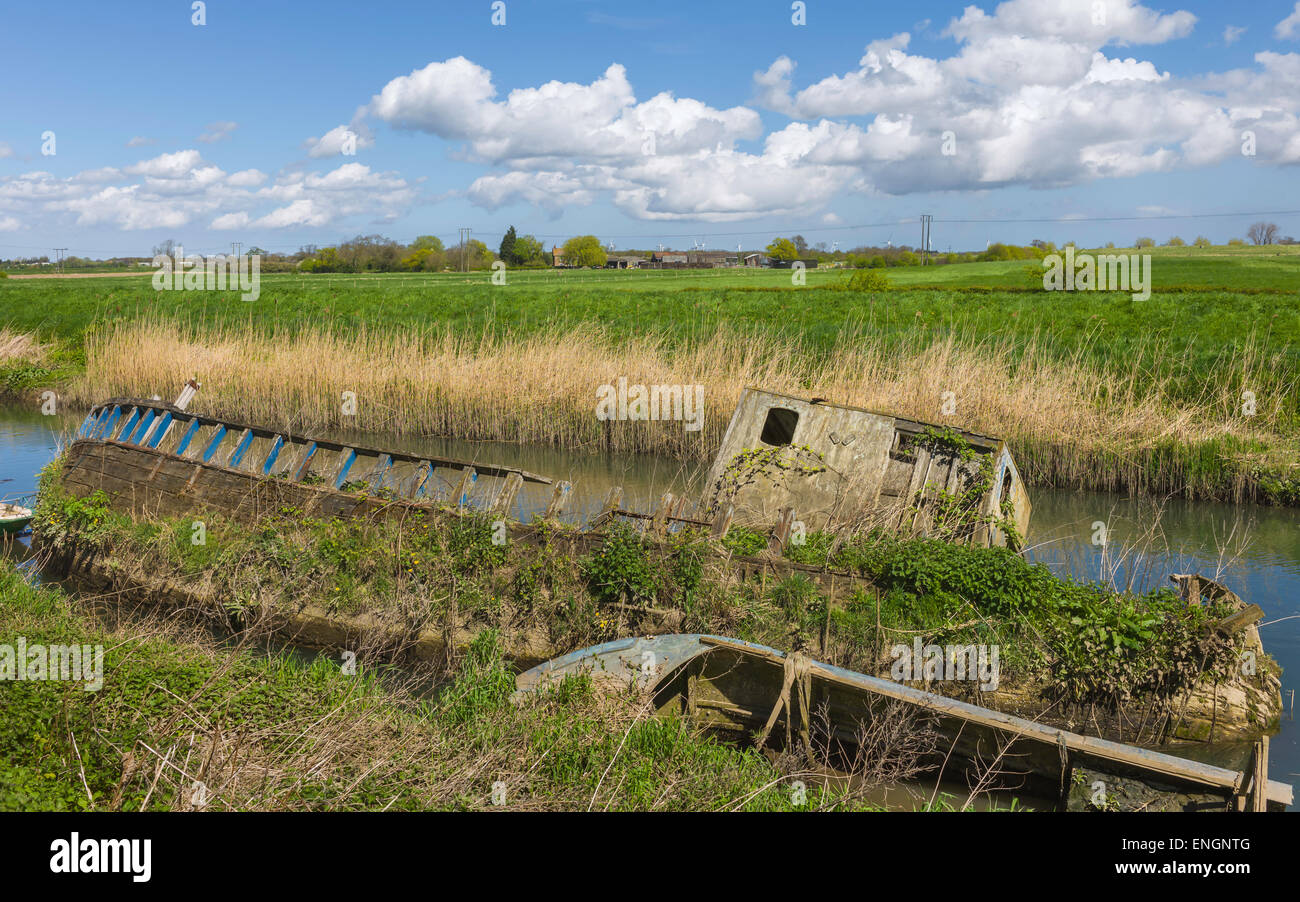 Derelict wooden river boat half submerged in the waters of the river Hull surrounded by overgrown vegetation on a spring morning Stock Photo