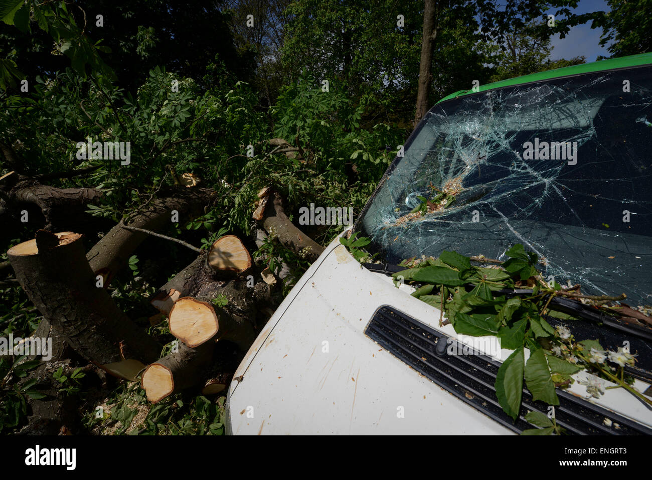 A cracked windscreen of a van caused by a tree falling on it during a
