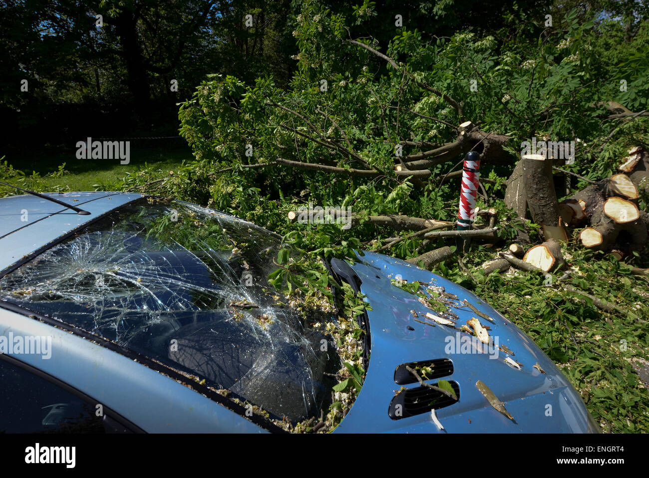 The cracked windscreen of a van caused by a tree falling on it during a