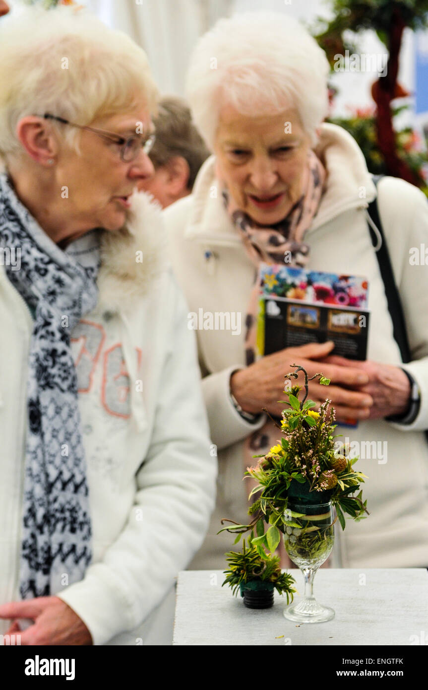 Two elderly ladies admire a flower arrangement at a horticultural competition Stock Photo