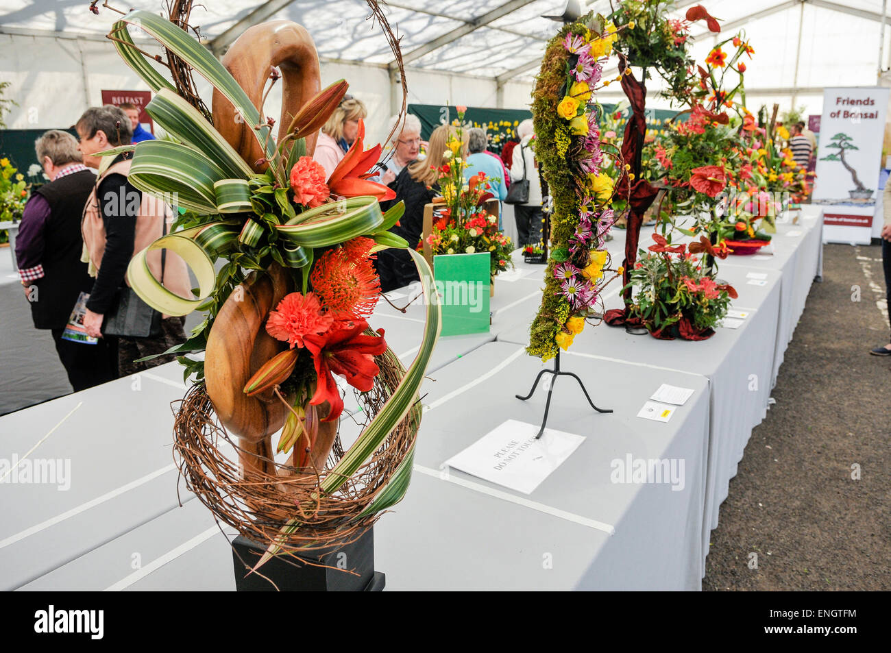 Flower arrangements on display at a horticultural competition Stock