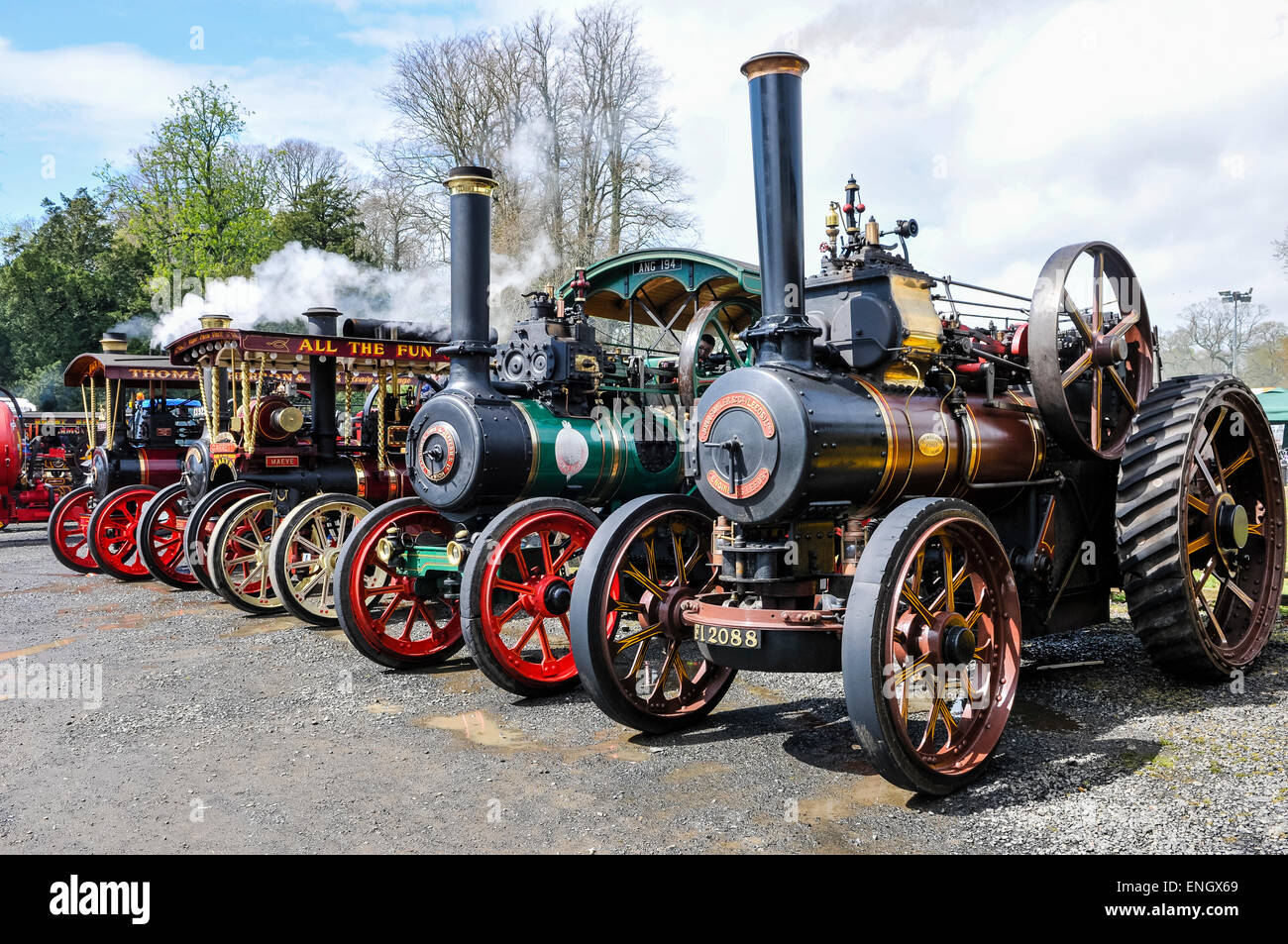 Row of traction engines at a steam fair Stock Photo Alamy
