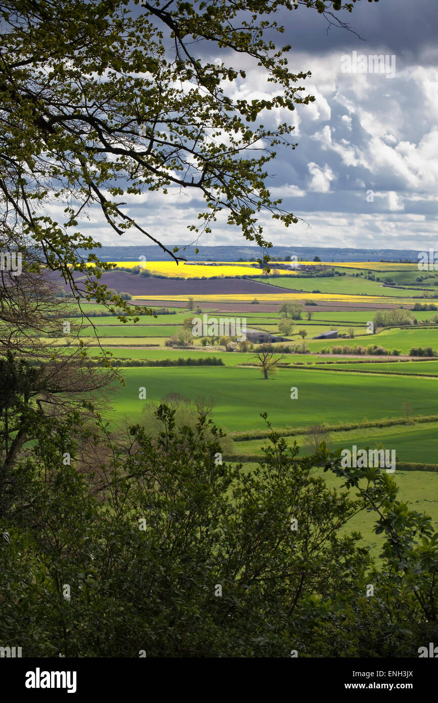 Farmland in Buckinghamshire Stock Photo