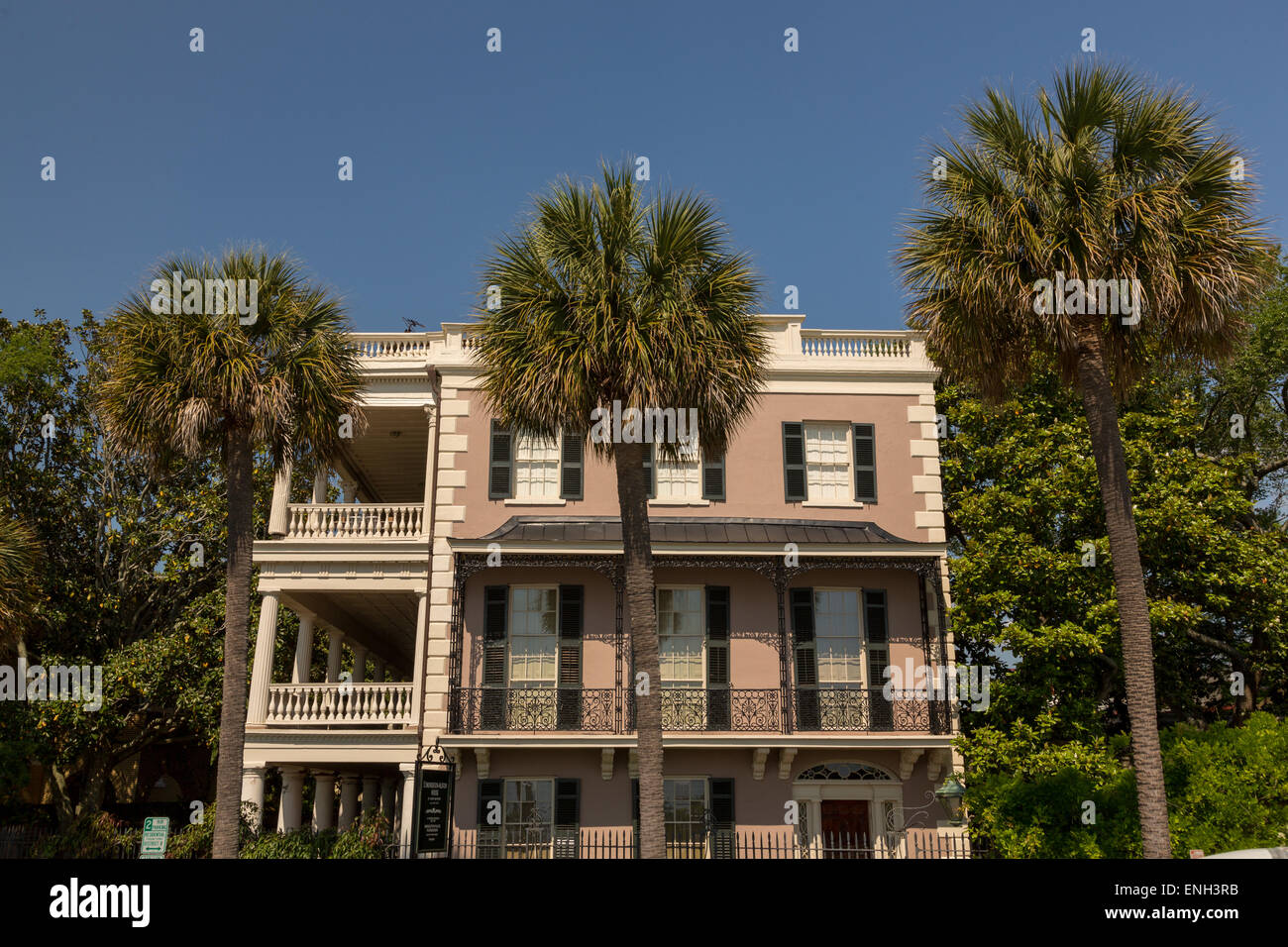 Oleander blooms at the EdmonstonAlston House on East Battery in