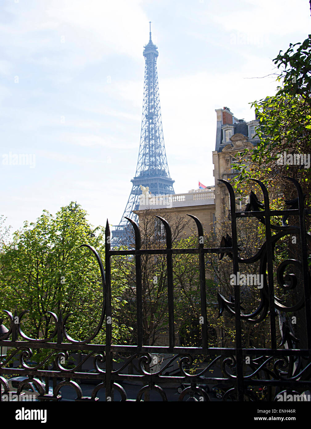 View of the spectacular Eiffel Tower on the left bank seen from Avenue