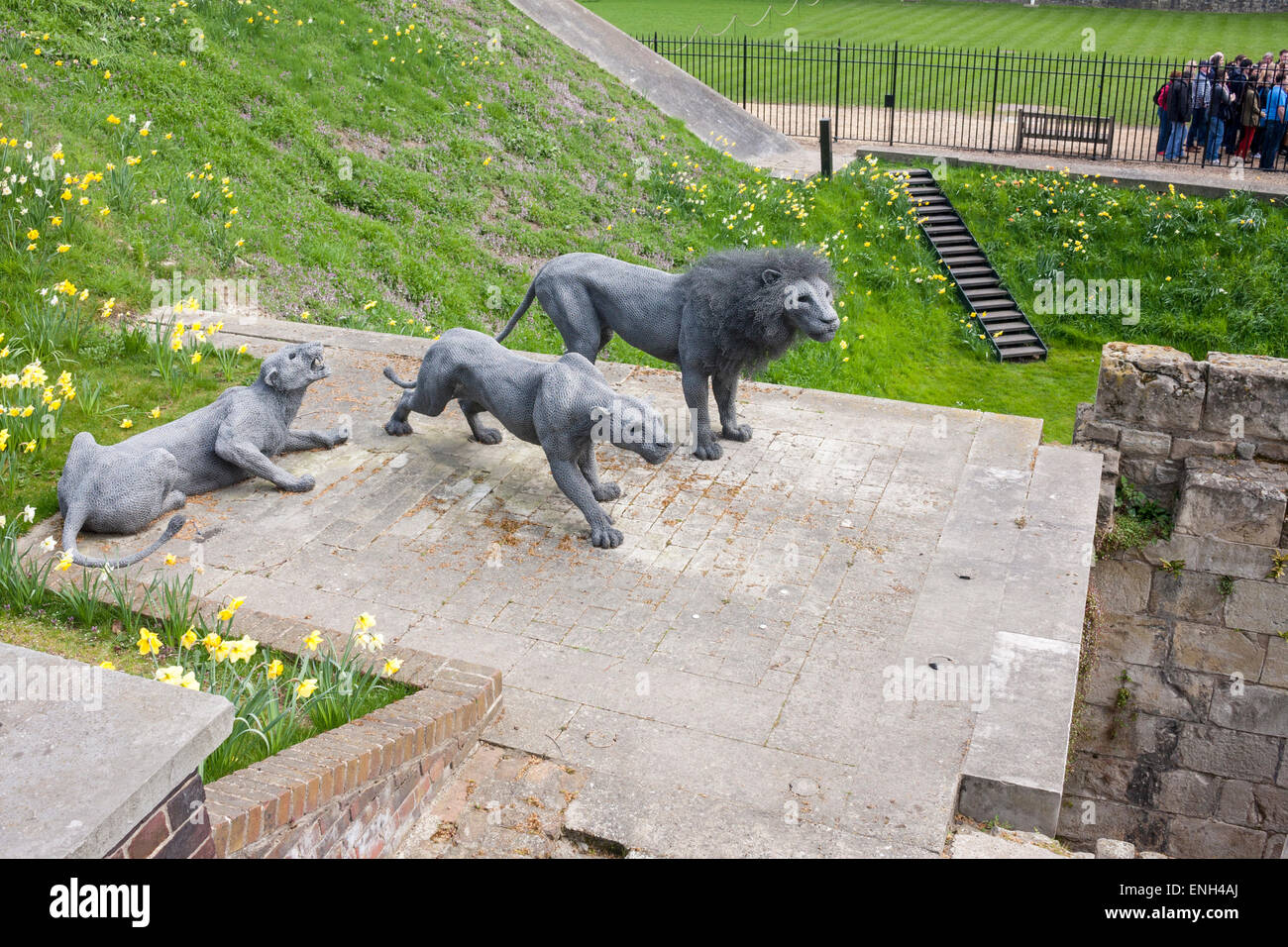 Kendra Haste's sculpture of animals at the Tower of London, as part of the Royal Beasts exhibition about the Royal Menagerie Stock Photo