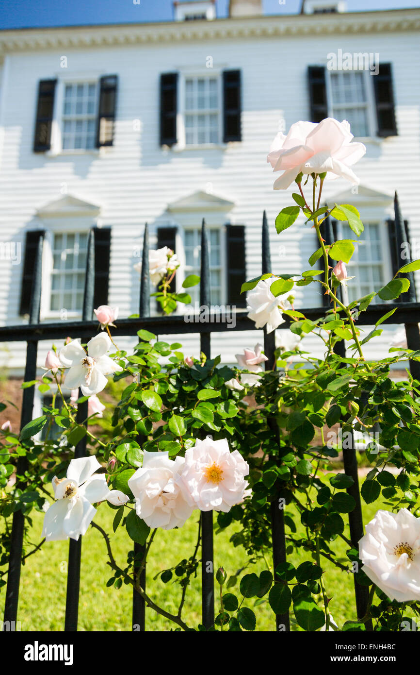 Trees And Roses Stock Photos & Trees And Roses Stock Images - Alamy