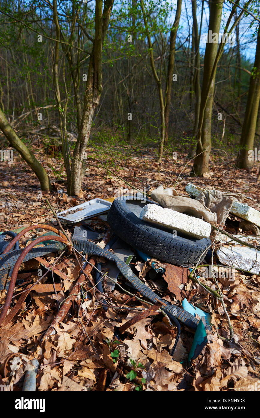 Garbage pit in wood. Illegal dump Stock Photo Alamy