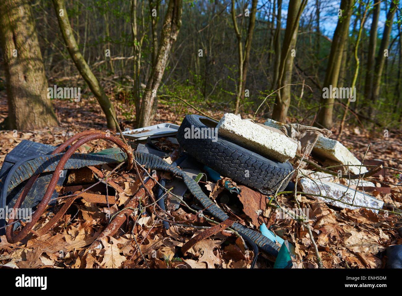 Garbage pit in wood. Illegal dump Stock Photo Alamy
