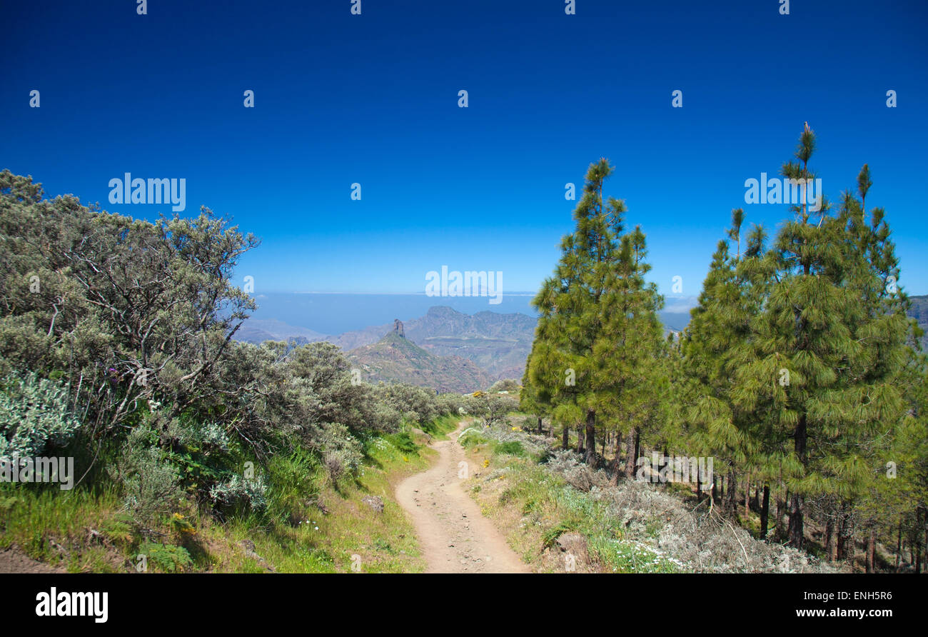 Gran Canaria, Caldera de Tejeda, path from Cruz de Tejeda to Llanos de la Pez Stock Photo