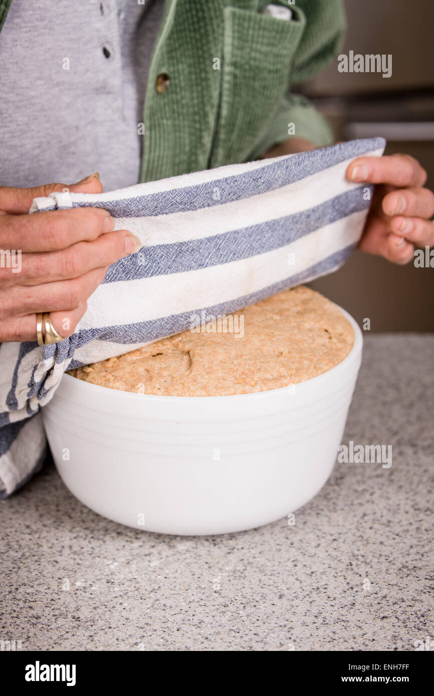 Woman showing that the Sprouted Wheat dough in a covered bowl on a countertop has risen until it doubled in size. Stock Photo