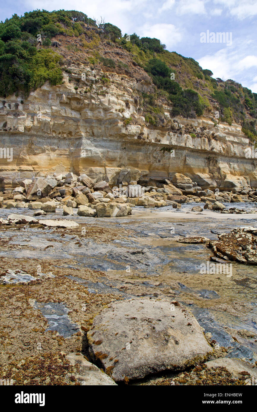Fossils tasmania hires stock photography and images Alamy