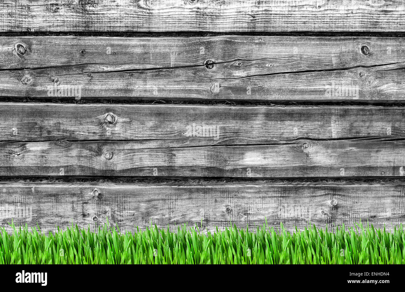 Black and white old weathered wooden wall background and green grass Stock Photo