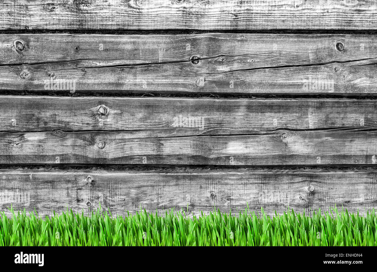 Black and white old weathered wooden wall background and green grass ...