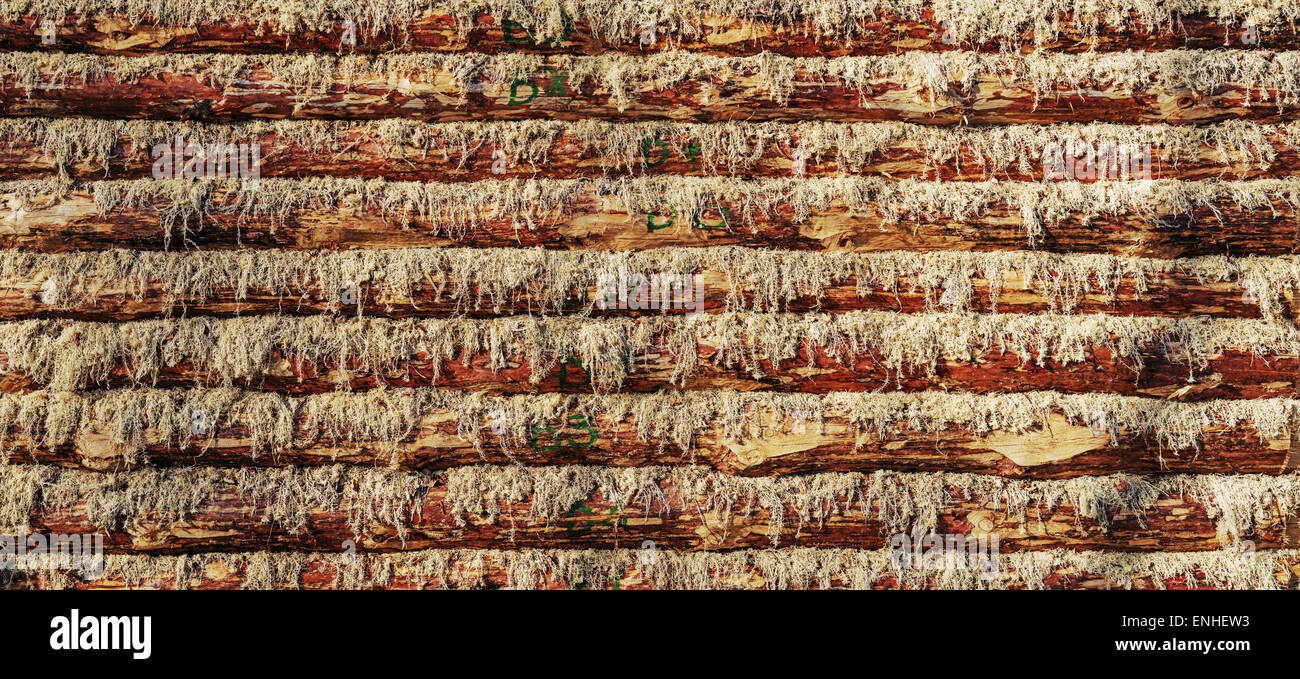 Background from log-house wall Stock Photo - Alamy