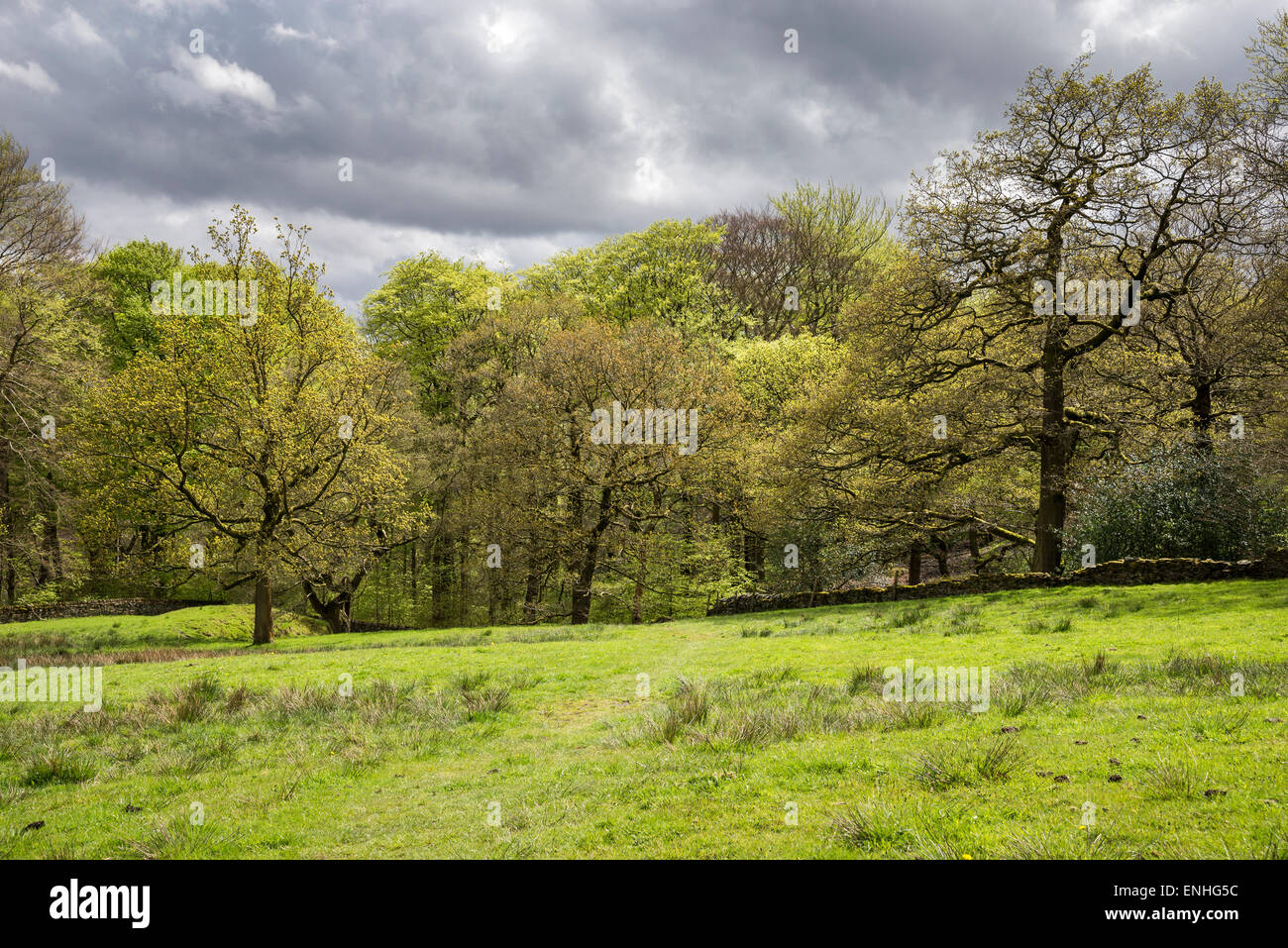 Countryside near Hollingworth in Tameside, England on a spring day. Stock Photo