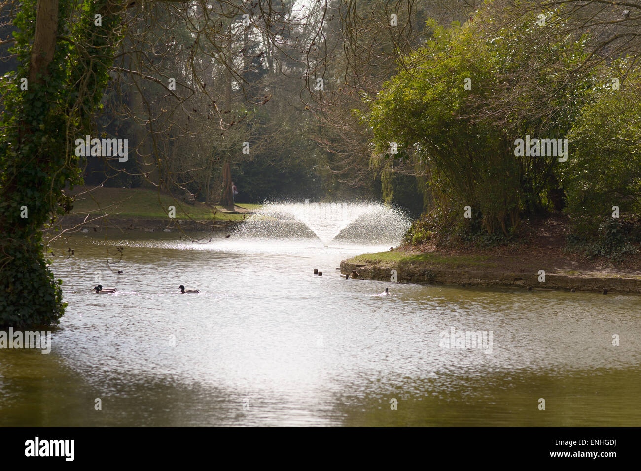 Water spray sparkling in fountain at Bedford Park, Bedford