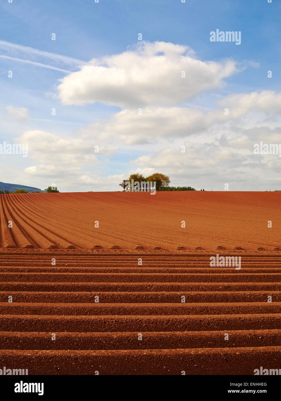 Ploughed red soil field, Shropshire, England, UK. Stock Photo