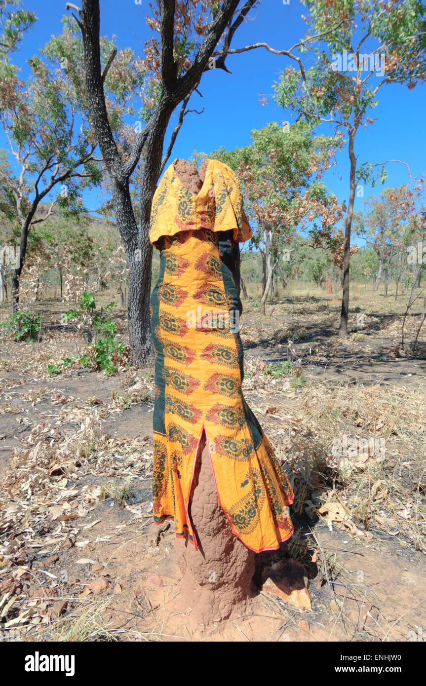Termite Mound dressed up by locals as a joke, Kimberley, Western Australia, WA, Australia Stock Photo