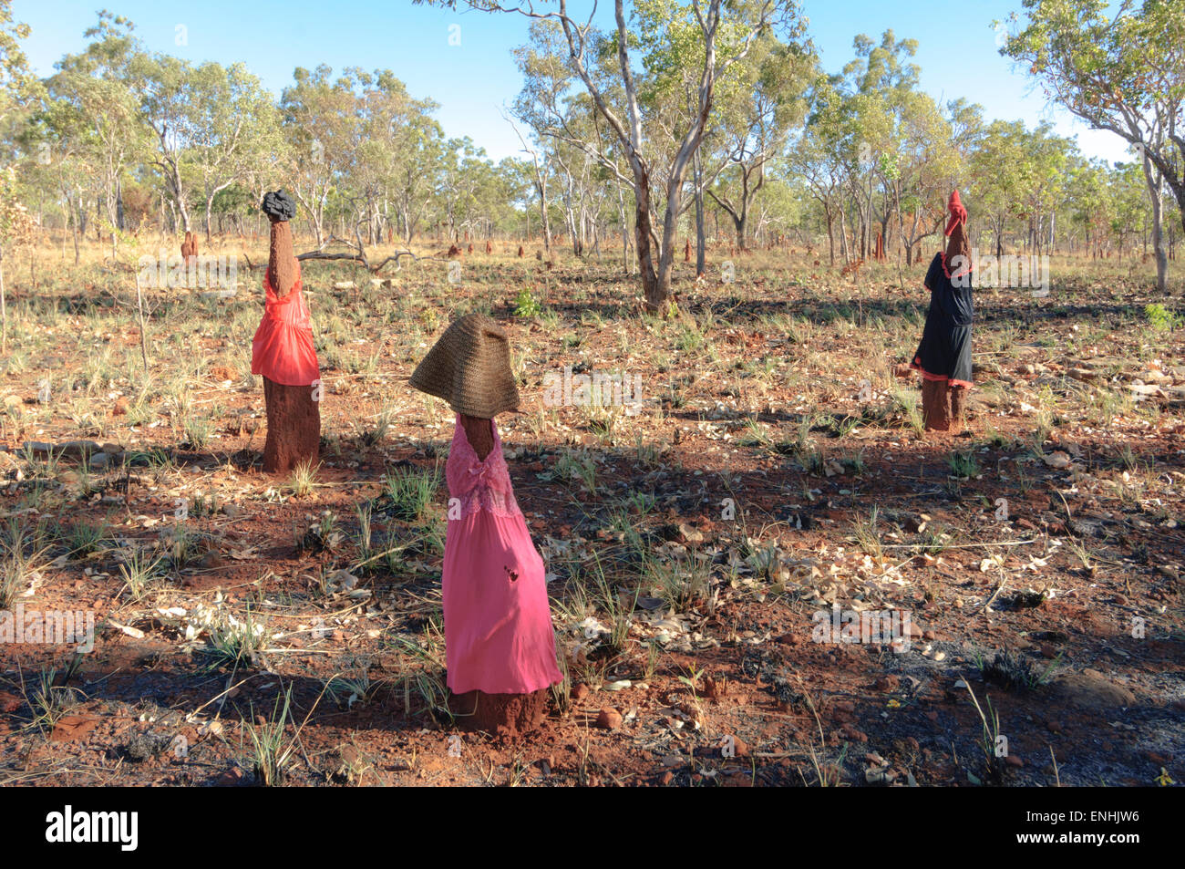 Termite Mounds dressed up by locals as a joke, Kimberley, Western Australia, WA, Australia Stock Photo
